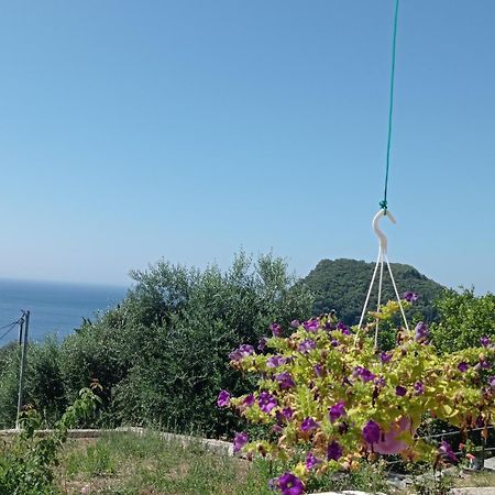 Litheri-Studios&Apartment Paleokastritsa Exteriér fotografie