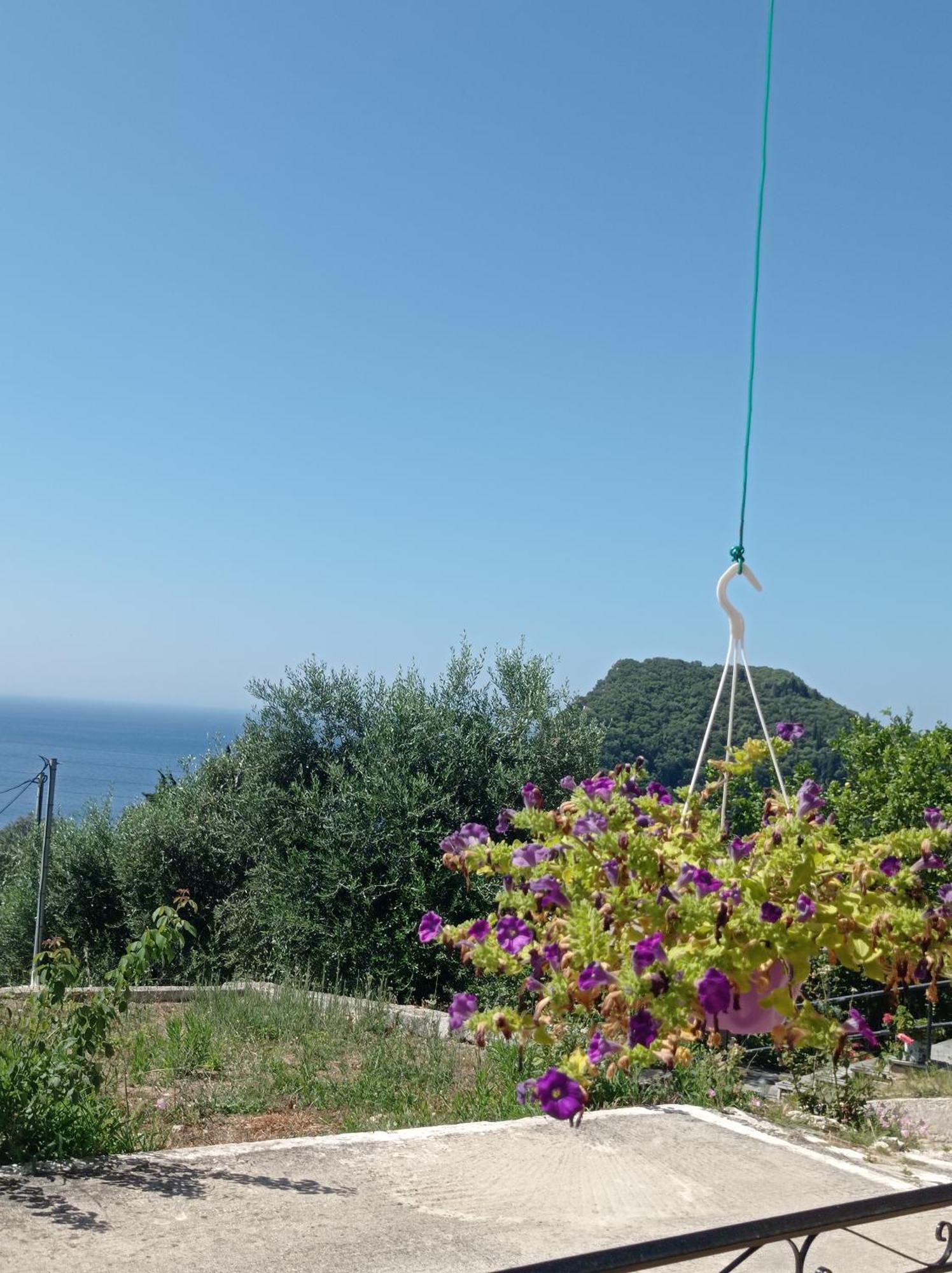 Litheri-Studios&Apartment Paleokastritsa Exteriér fotografie